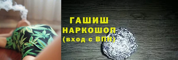 сатива Горняк