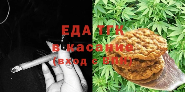 сатива Горняк