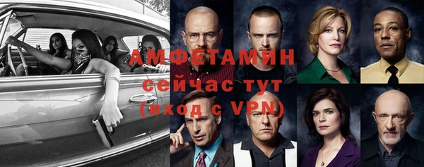 сатива Горняк