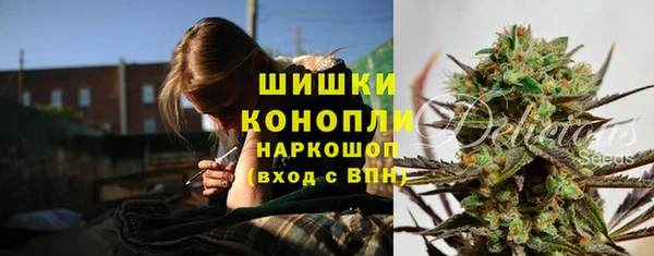 сатива Горняк